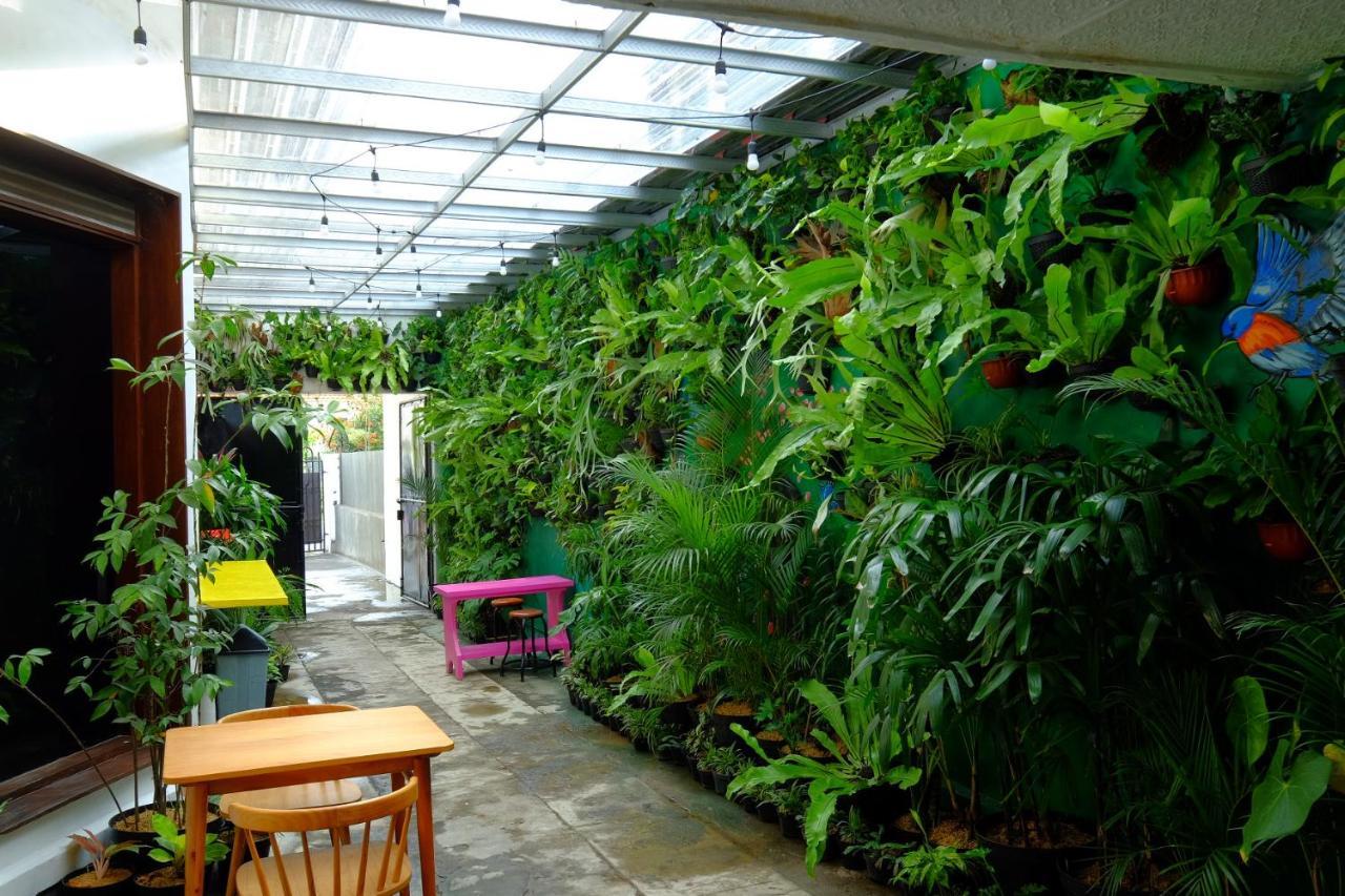 Snooze Malang Hostel Kültér fotó